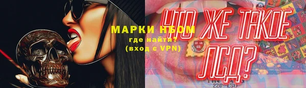 дмт Бородино