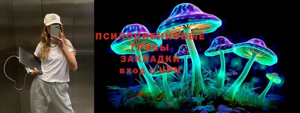 дмт Бородино