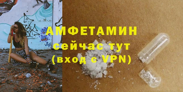 дмт Бородино