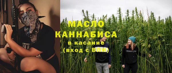 дмт Бородино
