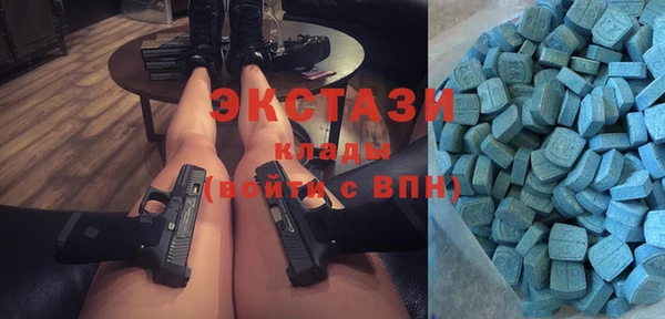 дмт Бородино