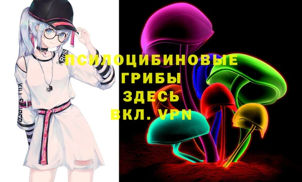дмт Бородино