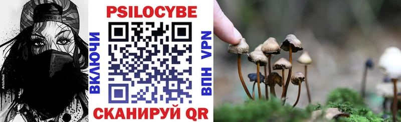 Галлюциногенные грибы Psilocybine cubensis  купить наркотик  Пятигорск 